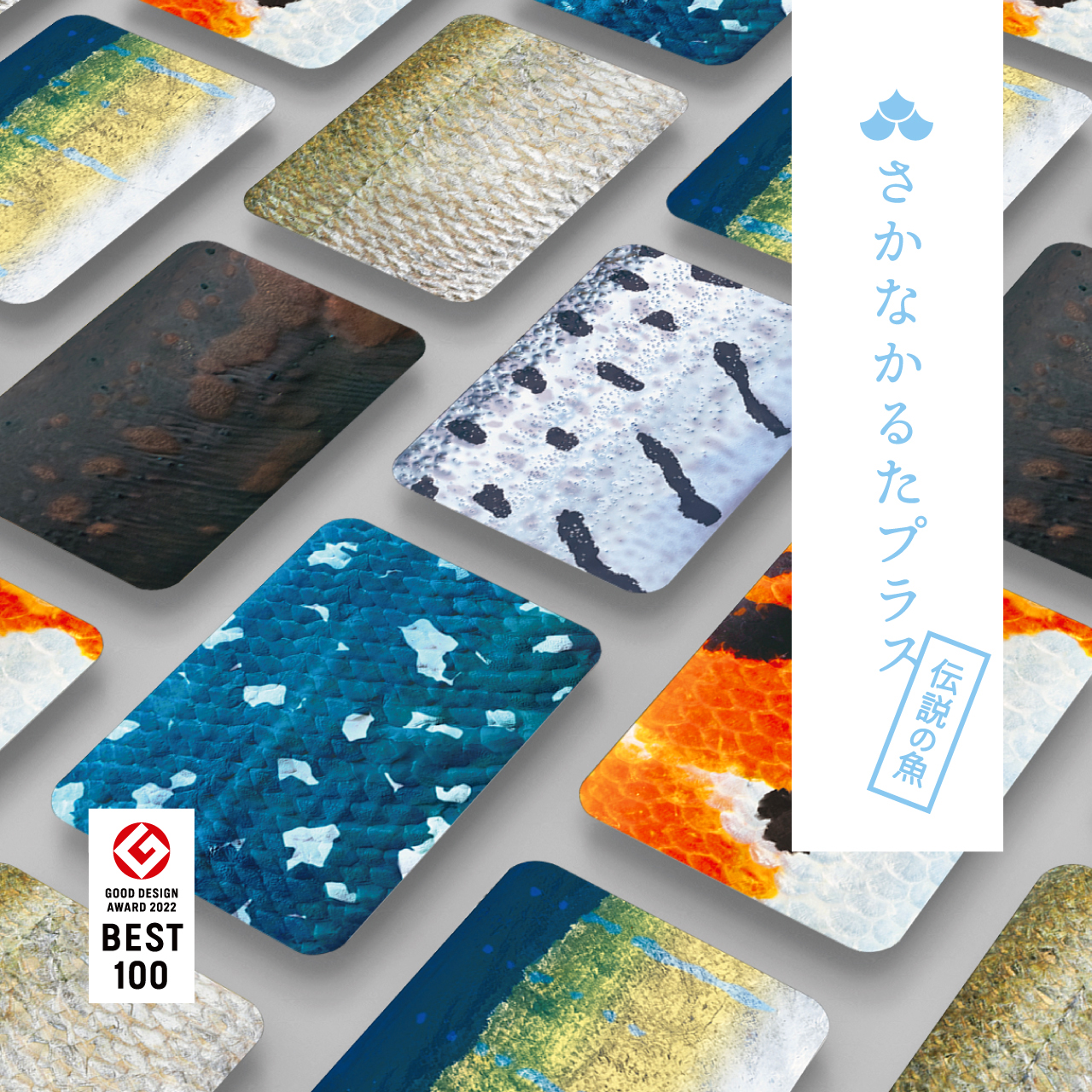 さかなかるたプラス 伝説の魚版