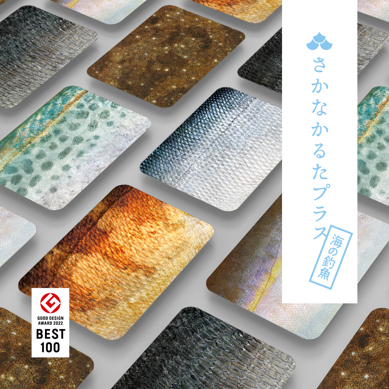 さかなかるたプラス 海の釣魚版