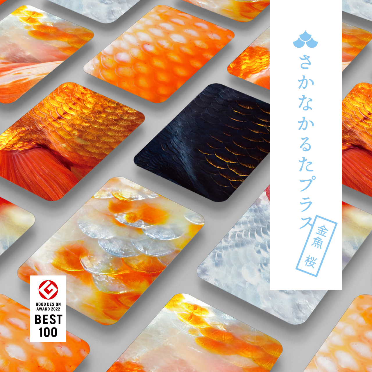 さかなかるたプラス 金魚版 桜