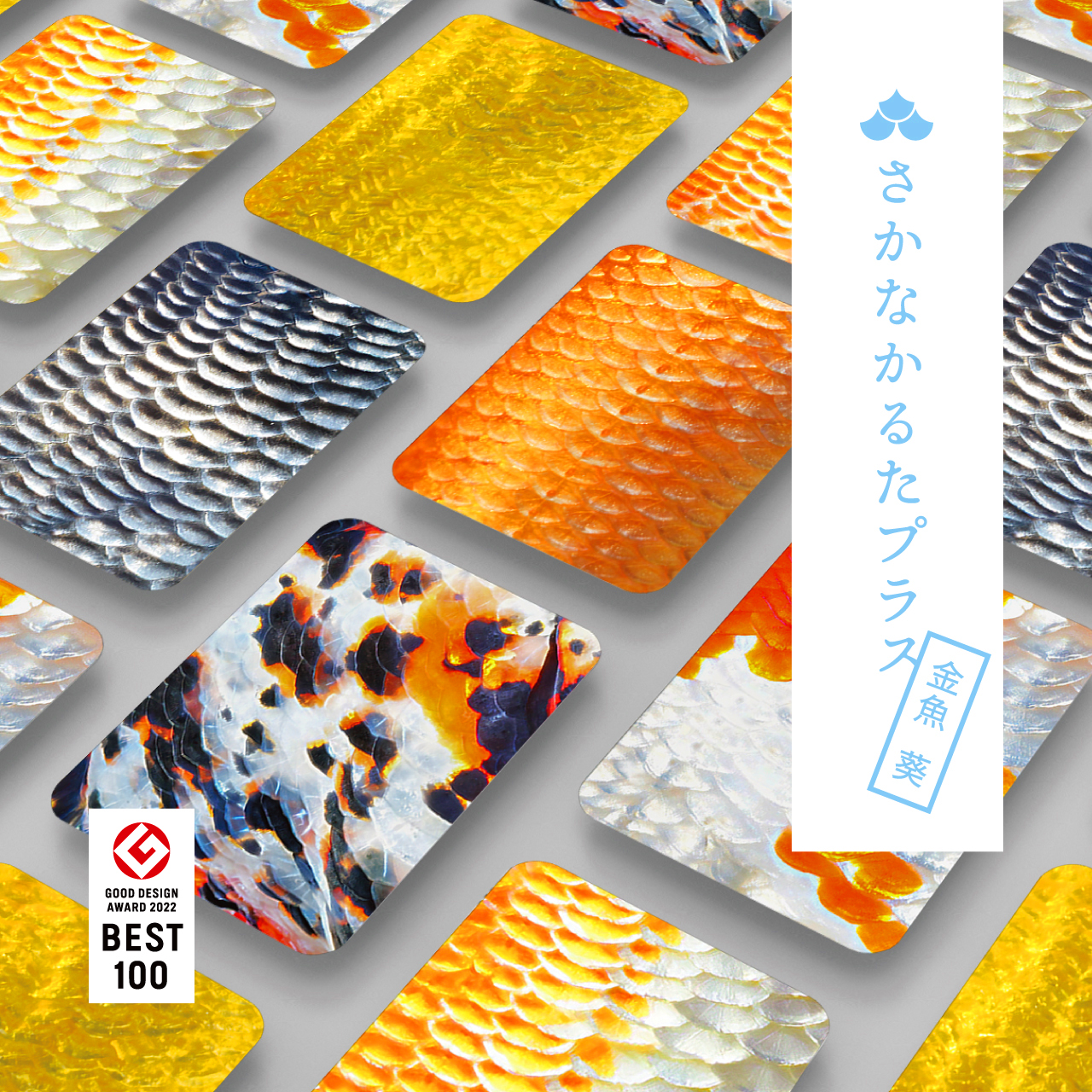 さかなかるたプラス 金魚版 葵