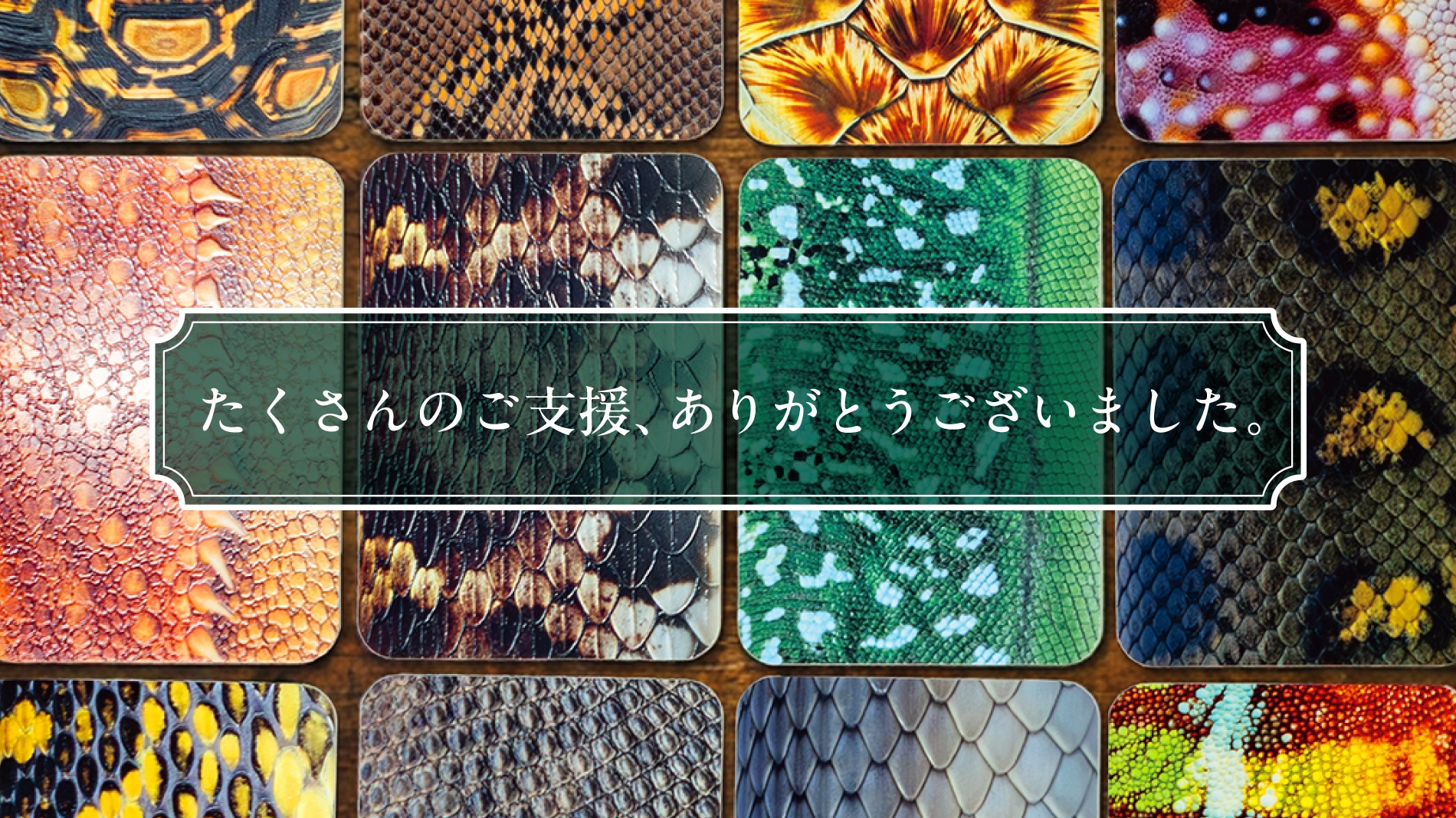 爬虫類かるた